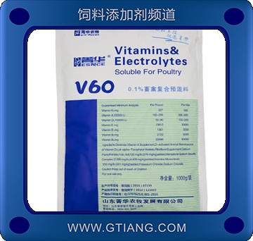 V60- 菁華V60
