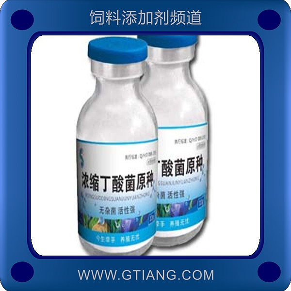 濃縮丁酸菌原種-賽美騰濃縮丁酸菌原種 促進(jìn)腸道有益菌群增殖