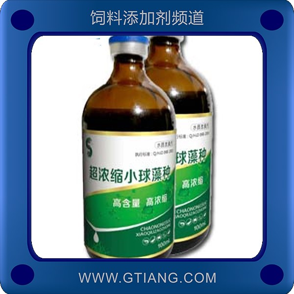 超濃縮小球藻種-賽美騰超濃縮小球藻種 養(yǎng)殖肥水改良水體繁殖快