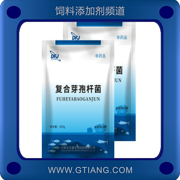 復合芽孢桿菌-東方健復合芽孢桿菌 快速分解水體機質